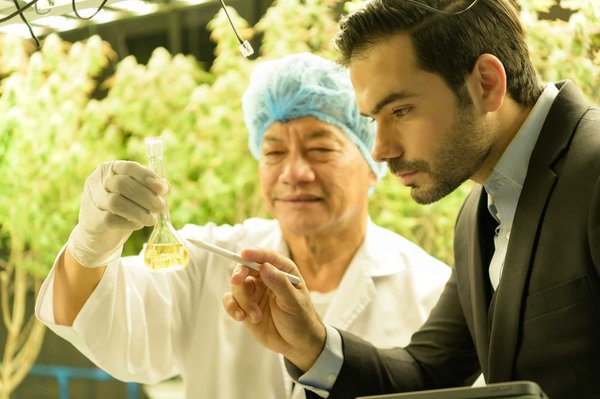 4 bienfaits de l'huile essentielle sur la santé des Hommes