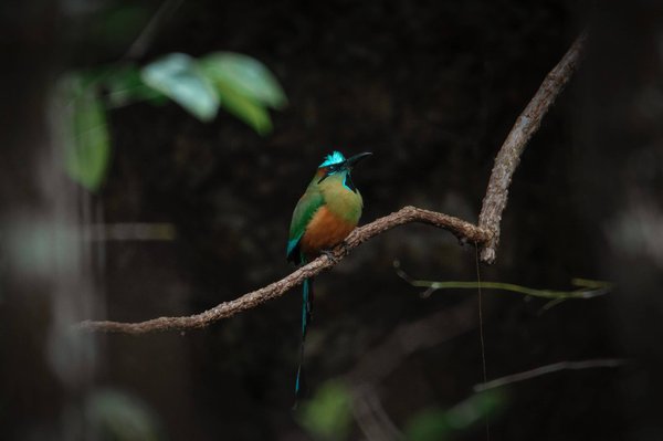 Comment faire pour avoir un visage toujours jeune ?
